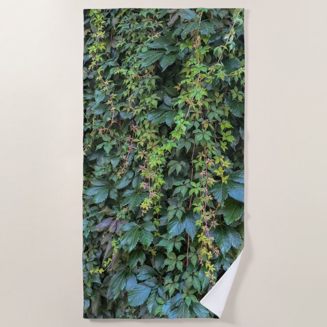 Serene Green Ivy Wall Hanging Vines Plant Leaves Beach Towel (Front)