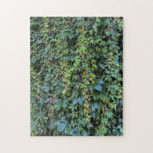 Serene Green Ivy Wall Hanging Vines Plant Leaves Jigsaw Puzzle
