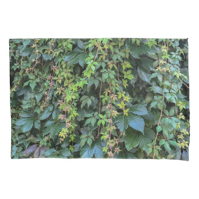 Serene Green Ivy Wall Hanging Vines Plant Leaves Pillowcase (Front)