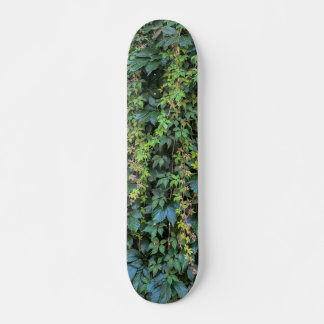 Serene Green Ivy Wall Hanging Vines Plant Leaves Skateboard