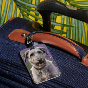 Serene Majesty: Wolfhound Sitting in a Purple Iris Luggage Tag