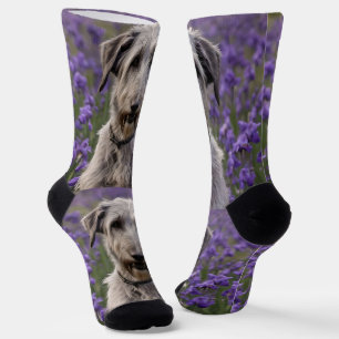 Serene Majesty: Wolfhound Sitting in a Purple Iris Socks