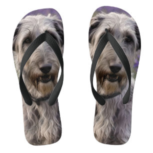 Serene Majesty: Wolfhound Sitting in a Purple Iris Thongs