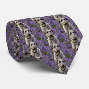 Serene Majesty: Wolfhound Sitting in a Purple Iris Tie