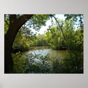 serene poster