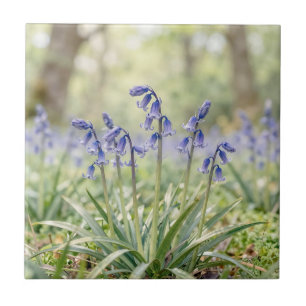 Serene Purple Bluebell Woodland Bloom Ceramic Tile
