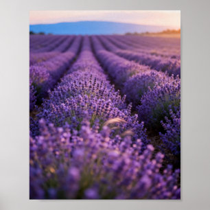 Serene Purple Horizons: A Cinematic Sunset Over En Poster