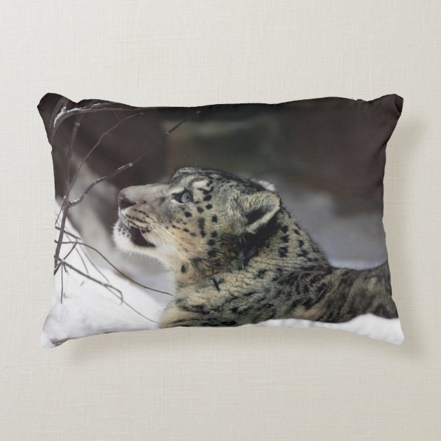 Serene Snow Leopard Decorative Cushion (Front)