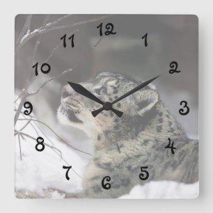 Serene Snow Leopard Square Wall Clock