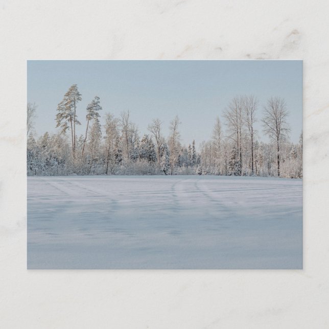 Serene Snowy Forest Landscape Postcard (Front)
