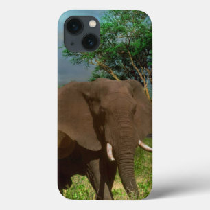 "Serene Strength: The Bull Elephant Grazing" iPhone 13 Case