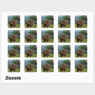 "Serene Strength: The Bull Elephant Grazing" Square Sticker