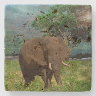 "Serene Strength: The Bull Elephant Grazing" Stone Coaster