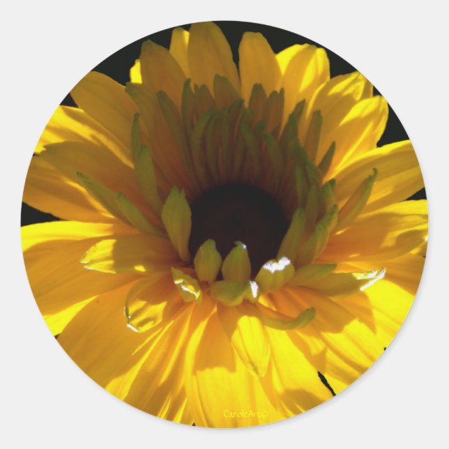 Serene Sunflower Classic Round Sticker (Front)