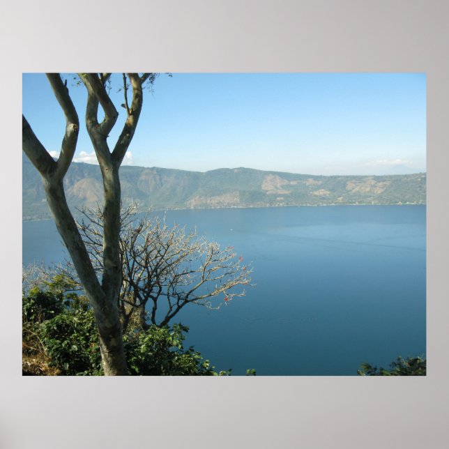 Serene Vista Poster (Front)