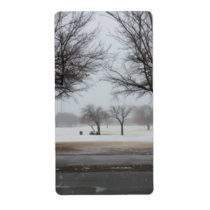Serene Winter Snowfall Park Landscape