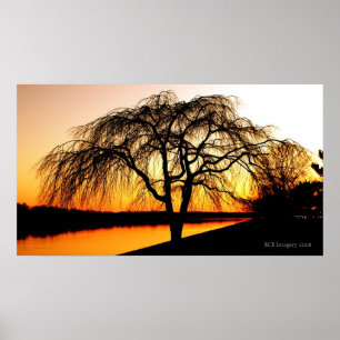 Serengeti in the City Poster