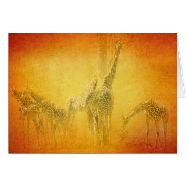 SERENGETI MOODS GREETIN CARD (Front Horizontal)