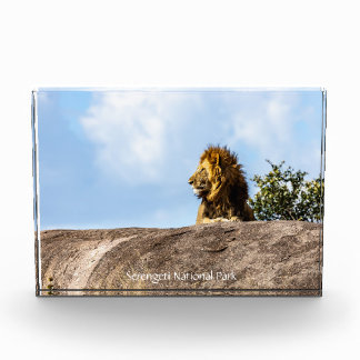 Serengeti National Park Photo Block