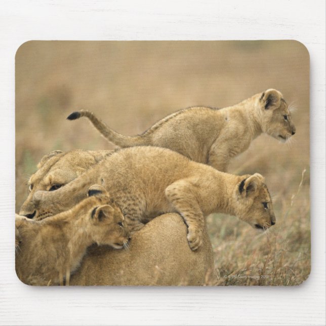 Serengeti National Park, Tanzania 2 Mouse Pad (Front)