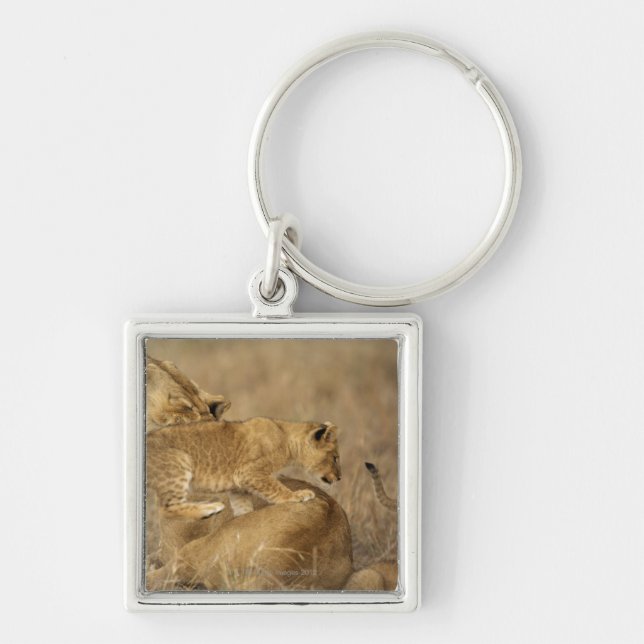 Serengeti National Park, Tanzania Key Ring (Front)