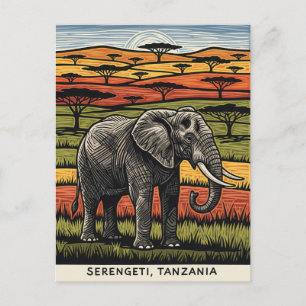 Serengeti National Park Tanzania Postcard