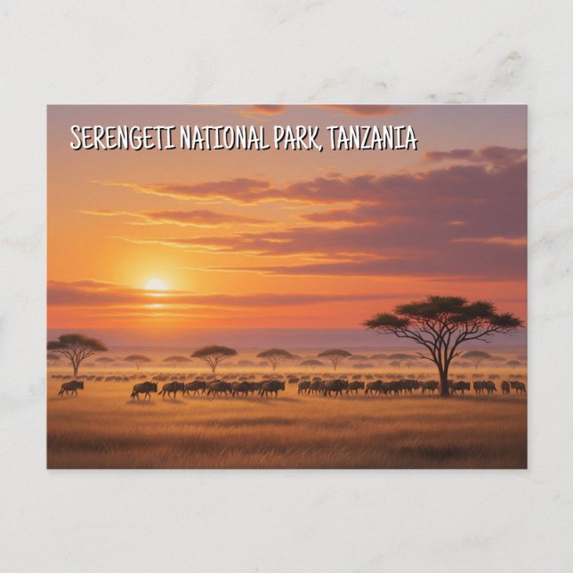 Serengeti National Park Tanzania Postcard (Front)