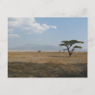 Serengeti Plains Postcard