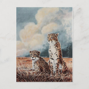 Serengeti Strikes Postcard