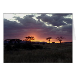 Serengeti_Sunset