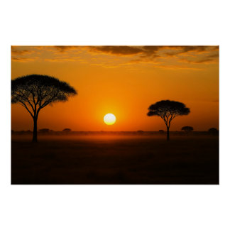 Serengeti sunset above the grassland poster