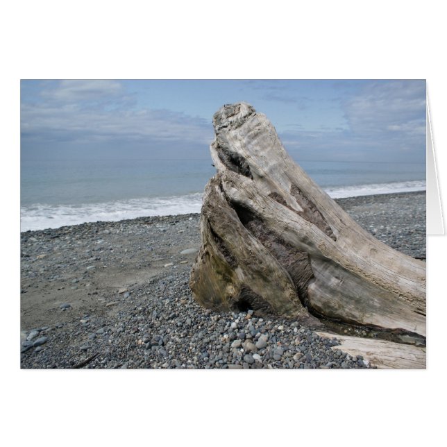 Serenity (Front Horizontal)