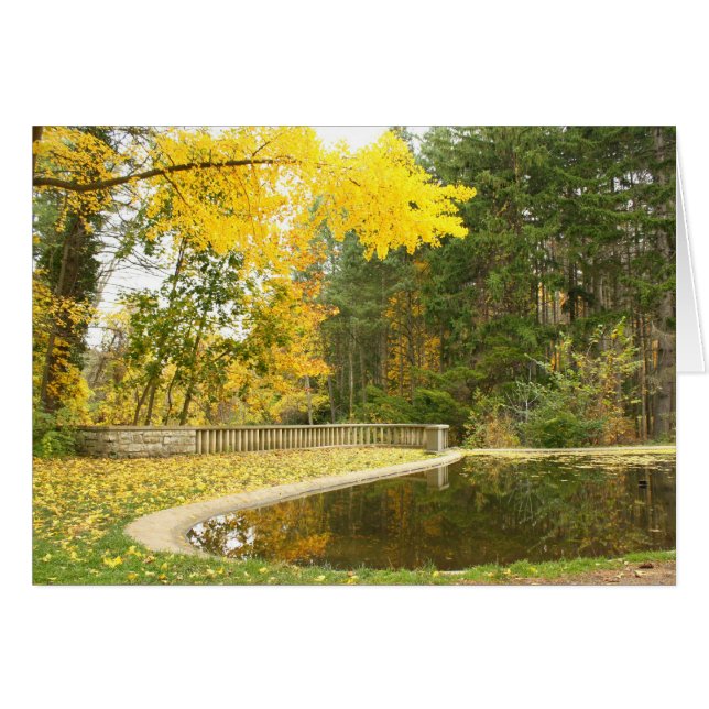 Serenity (Front Horizontal)