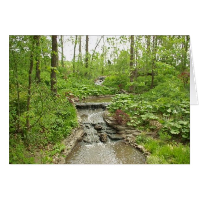 Serenity (Front Horizontal)