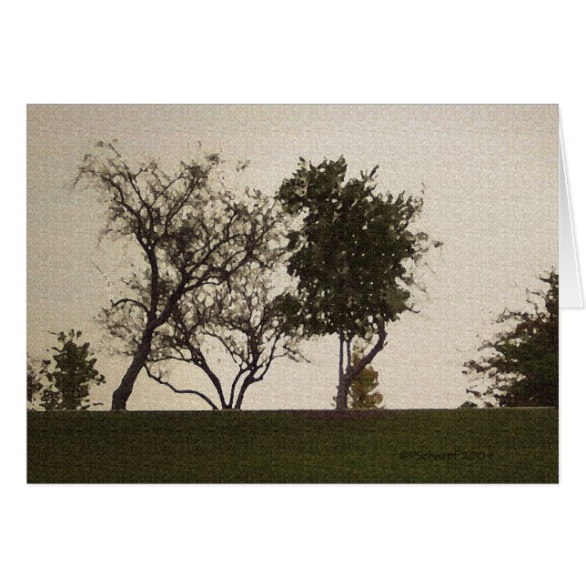 Serenity (Front Horizontal)