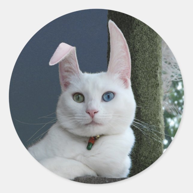 Serenity as Bunny sticker (Front)