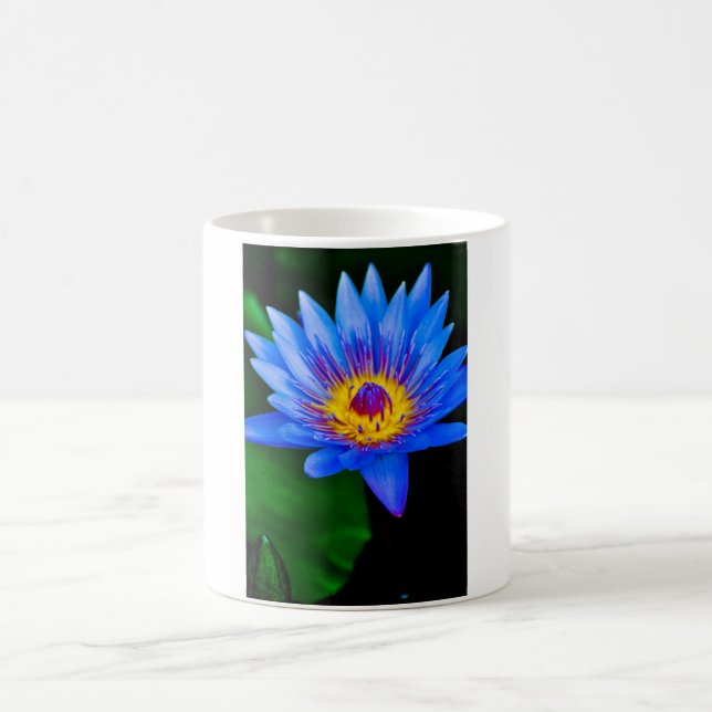 Serenity Coffee Mug (Center)