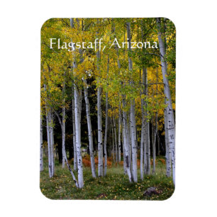 Serenity in Gold and Green Aspen's Flagstaff Magnet
