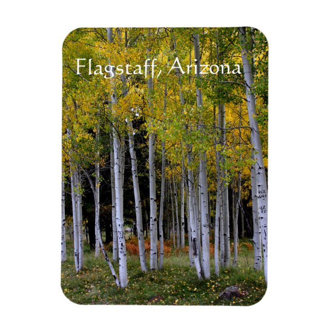 Serenity in Gold and Green Aspen's Flagstaff Magnet (Vertical)