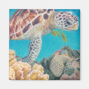 Serenity Magnet