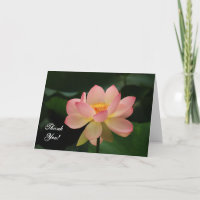 Serenity Pink Lotus Flower Buddhist Thank You
