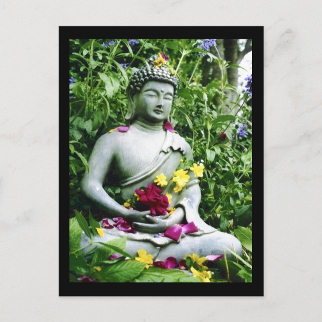 Serenity Postcard (Front)