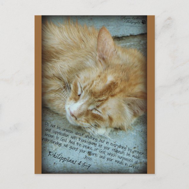 Serenity Postcard (Front)