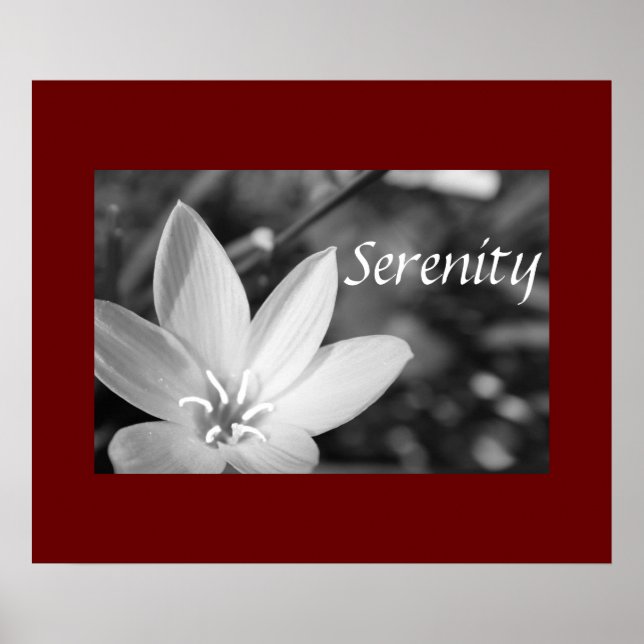 Serenity Poster (Front)
