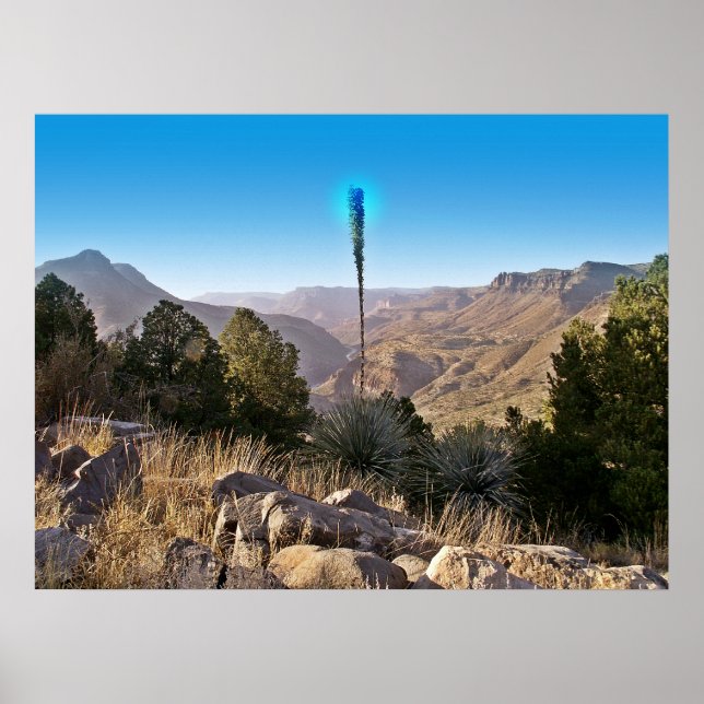 Serenity - Poster (Front)