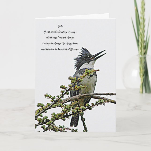 Serenity Prayer Belted Kingfisher Bird Blank Card (Front)
