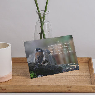 Serenity Prayer Bird on Branch Photo Blank Card