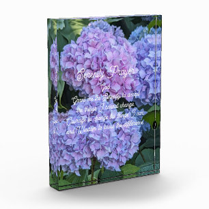 Serenity Prayer Hydrangea Blooms Floral Photo Block