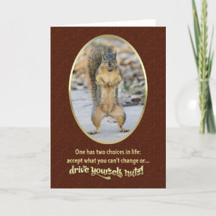 Serenity Prayer in a Nutshell Card