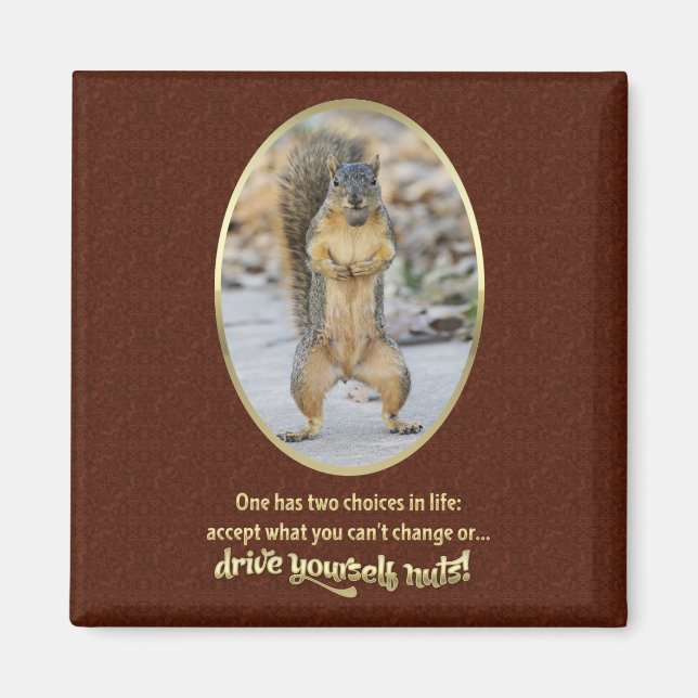 Serenity Prayer in a Nutshell Magnet (Front)